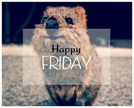 Happy Friday