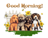 Good Morning