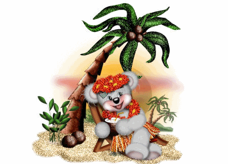 Teddy Creddy on Tropical Island