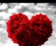 Love Tree