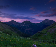 Purple dawn