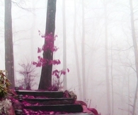 Mystical