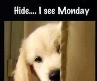 Hide I See Monday