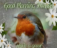 Have a great Moday
