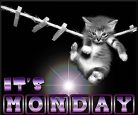 It's Monday Hang in there!