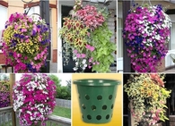 DIY Planters