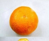 DIY Creative Orange Peeling