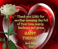 Happy Tuesday