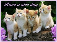 Have a nice day