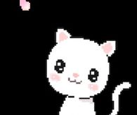 Pixel Kitty