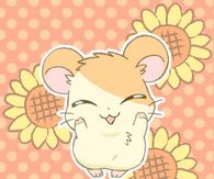 Happy Dancing Hamster