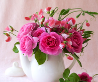 Dark Pink Roses in a Teapot