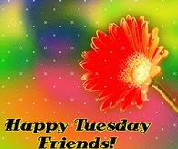 Happy Tuesday Friends