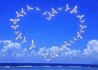 Love Doves