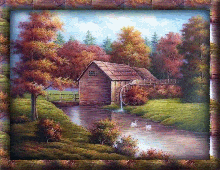 Animated Nature