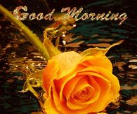 Good Morning