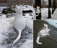 Cute Snow Cats