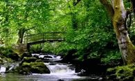 Flowing River