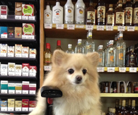 What can I get for you?