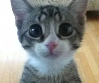 Hi There