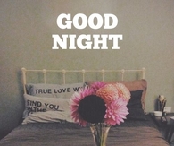 Good Night