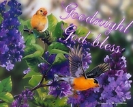 Good Night God Bless