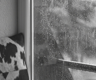 Tea and raindrops..