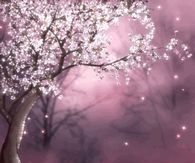 trees