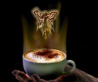 Coffee Fairy