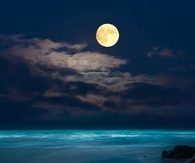 Beauty Mother Earth