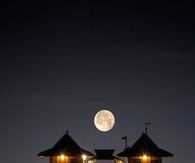 Moonlit Boardwalk