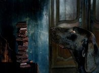 Temptation!