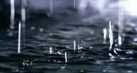Raindrops