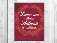 Leaves are falling