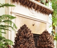 Pine cone trees