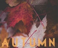 Autumn leaves