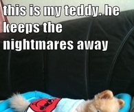 Dog and teddy