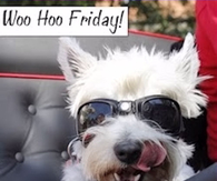 Woo Hoo Friday