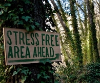 Stress free ahead