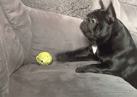Can't reach
