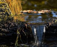 Stream of water