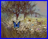 Colorful Butterflies
