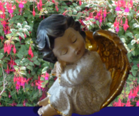 God bless you...