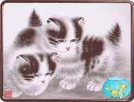Kitties watching Fish