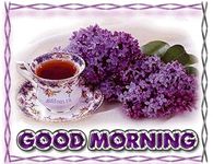 Good Morning