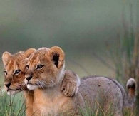 Brother, I Got Yur Back!!