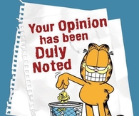 your opinion