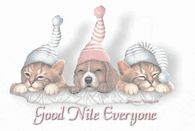 Good Nite Everyone