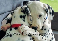 Its Ok
