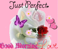 Just Perfect Good Morning Love